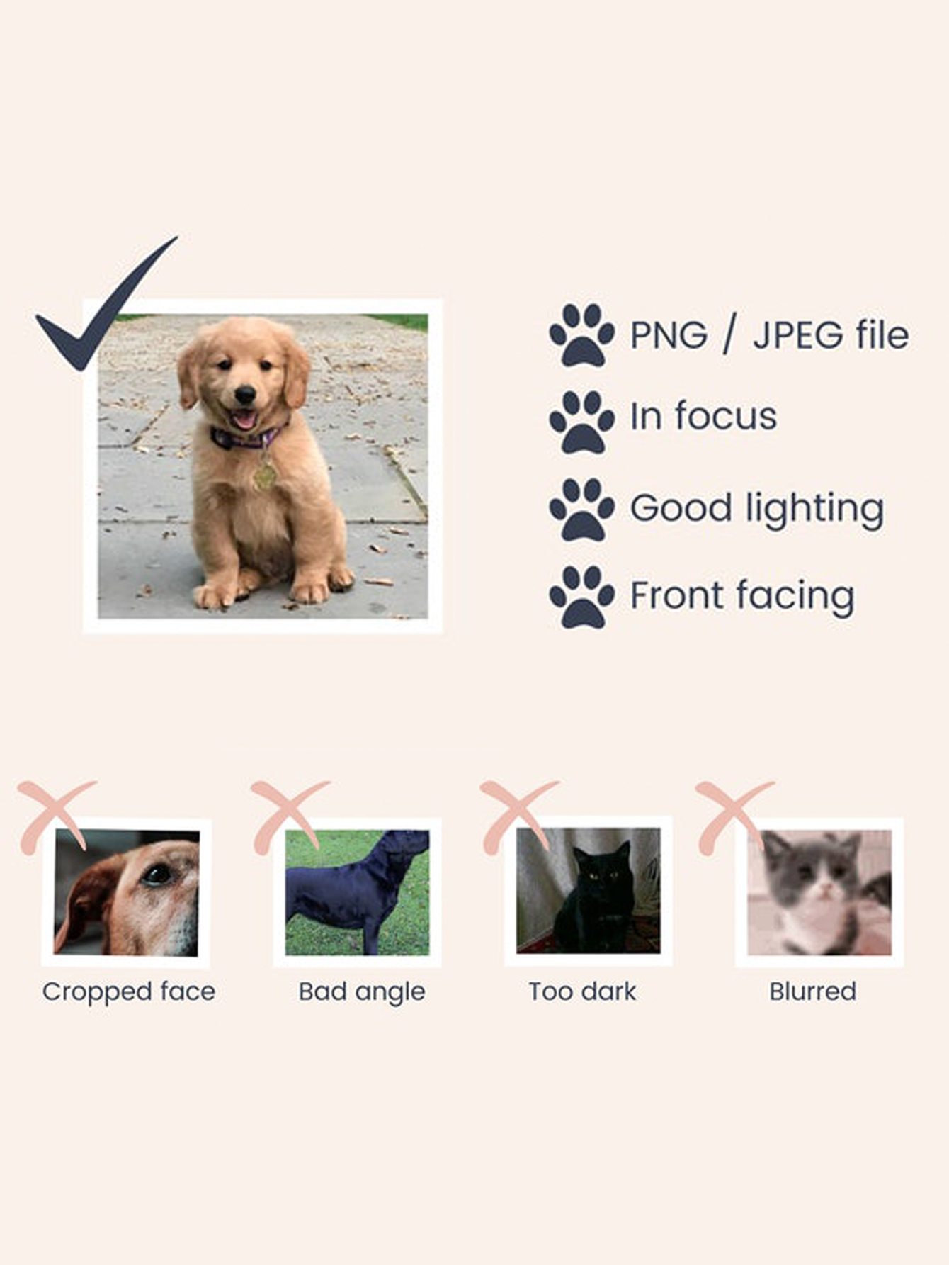Personalized Pet Placemats with Name and Photo